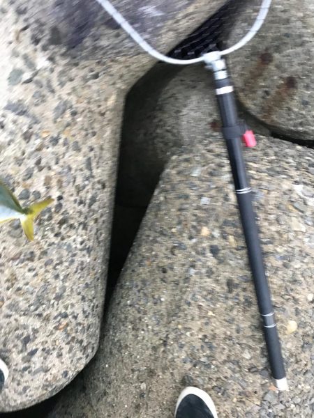 シーバス不発(T . T)