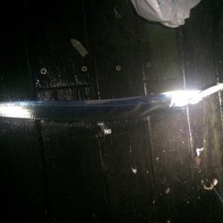 サイズアップを期待