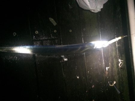 サイズアップを期待