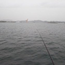 雨の降る中タチウオ狙い。