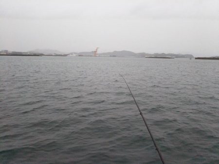 雨の降る中タチウオ狙い。