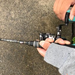 山口県東栄3丁目４４  釣具屋で聞いたポイントでチャレンジ