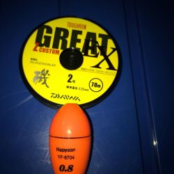 魚津港 フカセ夜釣りグレ入れ食い！