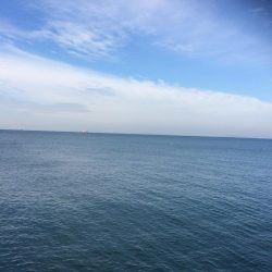 朝練してきました