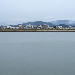 茶色いのんやけど