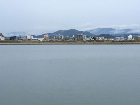 茶色いのんやけど