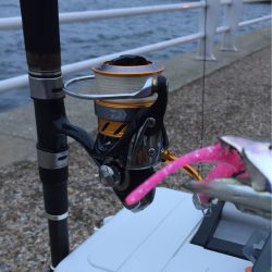 風が強くなってきました