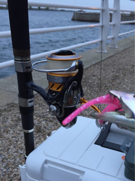 風が強くなってきました