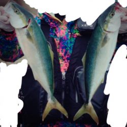 少し沖でハマチ連発！