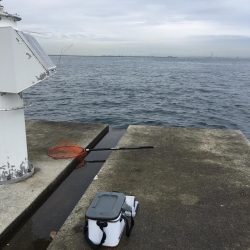 ポーアイ沖堤ショアジギング