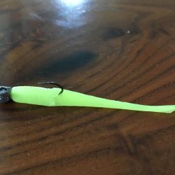 アジングで珍客