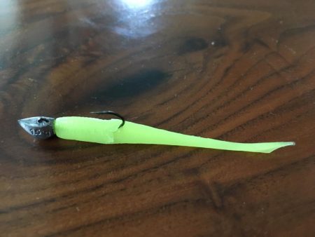 アジングで珍客