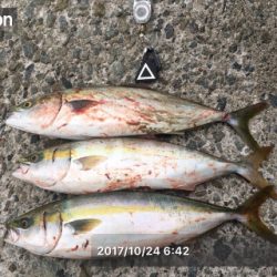 これぞ台風後の…?