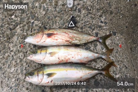 これぞ台風後の…?