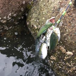 朝まづめショアジギング