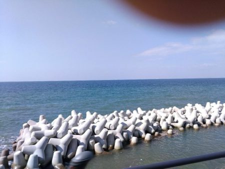 濁りの淡路島、アオリイカ反応なし