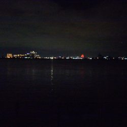 初めての大物黒鯛（チヌ）