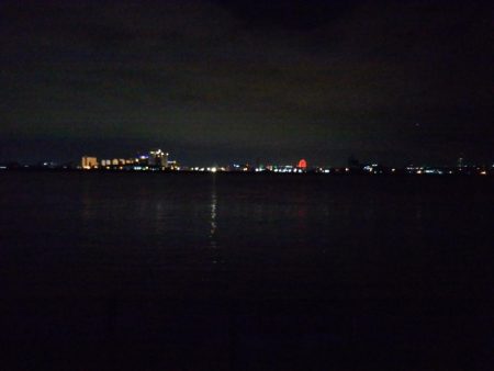 初めての大物黒鯛（チヌ）