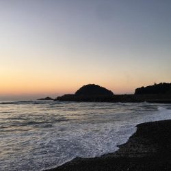 大里松原海岸 シオ 36cm