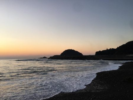 大里松原海岸 シオ 36cm