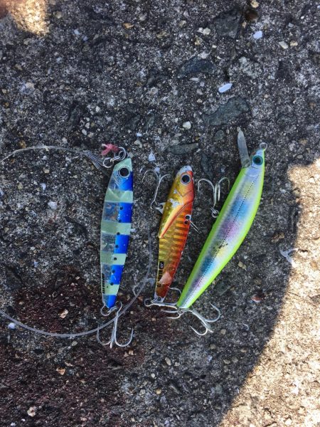 15ヒット11キャッチ したしぶりにハマチ釣れました