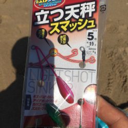 キス釣れるかな⁈