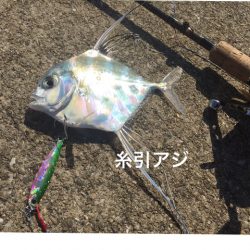 とどヤバ美味い♫