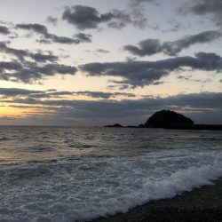 大里松原海岸 ハマチ1 ヒラセイゴ2