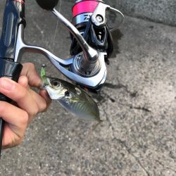 佐伯ライトゲーム！