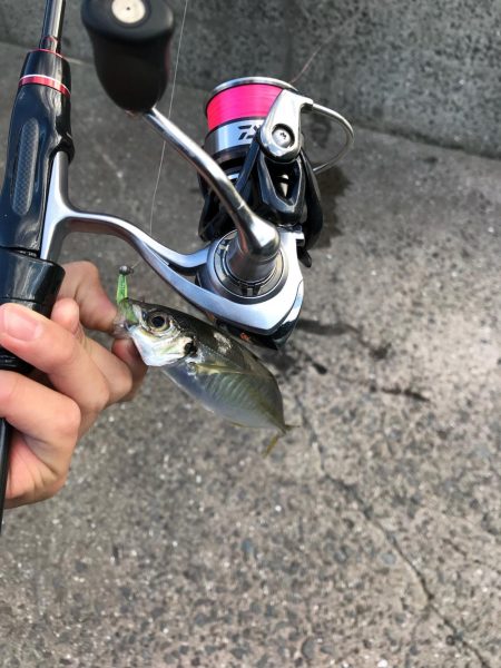 佐伯ライトゲーム！