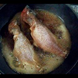 10月にセミが鳴いてたらアイツもいた