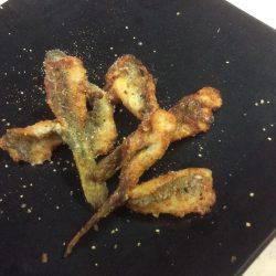 江戸前ハゼ釣り