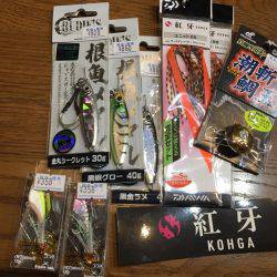 ライトゲームでアコウ