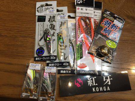 ライトゲームでアコウ