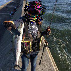 デイサーベリング