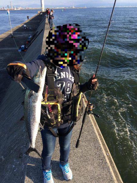 デイサーベリング