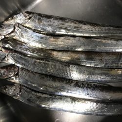 タチウオ専用ロッド