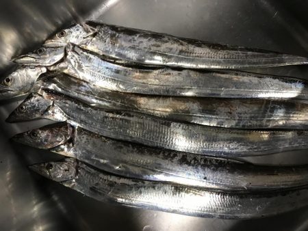 タチウオ専用ロッド