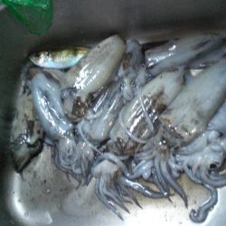 台風前の雨の中