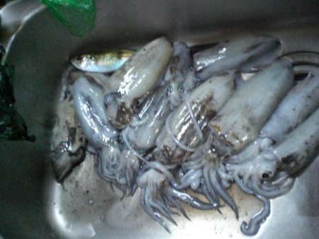 台風前の雨の中