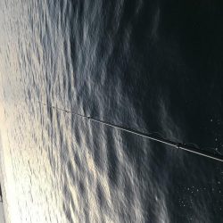 なんとか、ボウズは…。