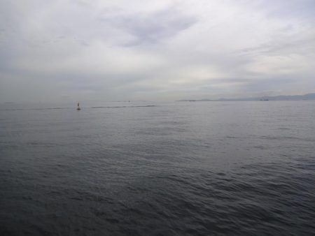 もっと釣れると思ったのに渋かったです