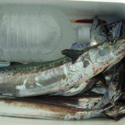 久々のつ抜け！