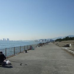 昼タチチャレンジ