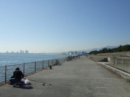 昼タチチャレンジ