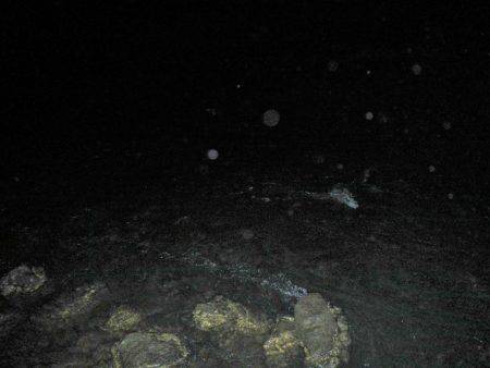 リバーシーバス