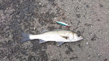 大雨直後を狙って
