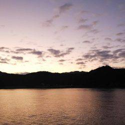 teamゲッソー調査隊