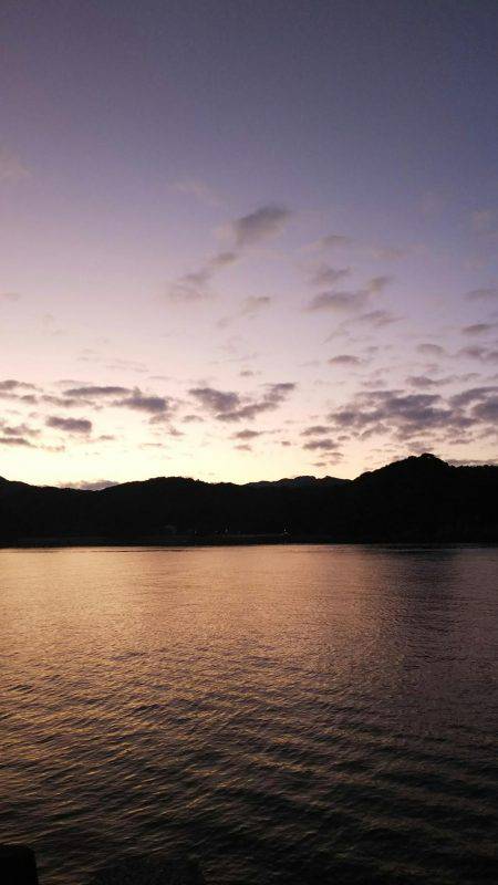 teamゲッソー調査隊