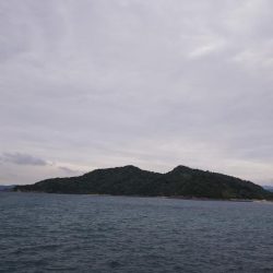 teamゲッソー調査隊